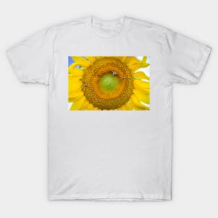 Sunflower Closeup T-Shirt